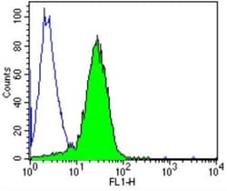 TCR V delta 1 Antibody (TS8.2), Novus Biologicals 0.2mg; Unlabeled:Antibodies,