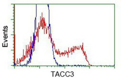 TACC3 Antibody (OTI6F1), Novus Biologicals 0.1mL; Unlabeled:Antibodies,