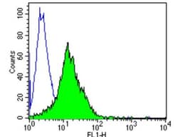 TCR V delta 2 Antibody (15D), Novus Biologicals 50 &mu;g, Unconjugated:Antibodies,