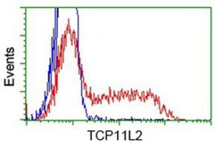 TCP11L2 Antibody (OTI2A10), Novus Biologicals 0.1mL; Unlabeled:Antibodies,