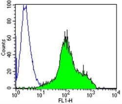 TCR beta Antibody (8A3), Novus Biologicals 200 ug; Unconjugated:Antibodies,