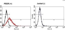 TCR gamma/delta Antibody (5A6.E9), Novus Biologicals 0.2mg; Unlabeled:Antibodies,