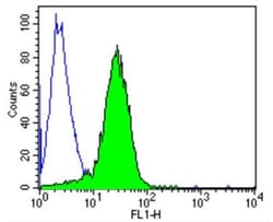 TCR gamma/delta Antibody (7A5), Novus Biologicals 200 &mu;g; Unconjugated:Antibodies,