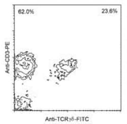 TCR gamma/delta Antibody (TCR1) - Azide and BSA Free, Novus Biologicals