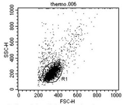 TCR V alpha 12.1 Antibody (6D6.6), Novus Biologicals 0.2mg; Unlabeled:Antibodies,