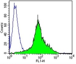 TCR V alpha 12.1 Antibody (6D6.6), Novus Biologicals 0.2mg; Unlabeled:Antibodies,