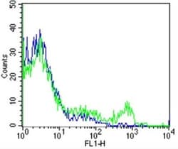 TCR V beta 5b Antibody (W112), Novus Biologicals 50 &mu;g, Unconjugated:Antibodies,