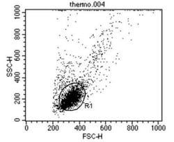 TCR V beta 5b Antibody (W112), Novus Biologicals 50 &mu;g, Unconjugated:Antibodies,