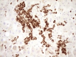 TFPI Antibody (OTI5H5), Novus Biologicals 0.1mL; Unlabeled:Antibodies,