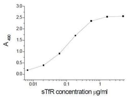 TfR (Transferrin R) Antibody (13E4cc), Novus Biologicals 0.2mg; Unlabeled:Antibodies,