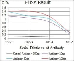 TGF-beta RIII Antibody (1C5H11) - BSA Free, Novus Biologicals 0.025 mL,