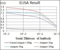 Thrombopoietin R/Tpo R Antibody (1H2) - BSA Free, Novus Biologicals 0.1mL;