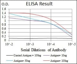 Thrombopoietin/THPO Antibody (1B11) - BSA Free, Novus Biologicals:Antibodies:Primary