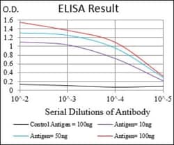 Tie-1 Antibody (8D12B10) - BSA Free, Novus Biologicals 0.1mL; Unlabeled:Antibodies,