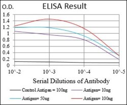 Tie-1 Antibody (8D12D2) - BSA Free, Novus Biologicals:Antibodies:Primary