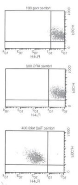 Tie-2 Antibody (tek9) - Azide and BSA Free, Novus Biologicals 0.02 mg;