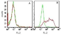 TIM-3 Antibody (F38-2E2) - BSA Free, Novus Biologicals 0.1mg; Unlabeled:Antibodies,