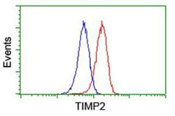 TIMP-2 Antibody (OTI1A6), Novus Biologicals 0.1mL; Unlabeled:Antibodies,