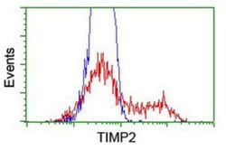 TIMP-2 Antibody (OTI1A6), Novus Biologicals 0.1mL; Unlabeled:Antibodies,