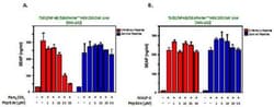 Novus Biologicals™ TIRAP (TLR2 and TLR4) Inhibitor Peptide Set