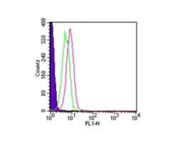 TLR1 Antibody, Novus Biologicals:Antibodies:Primary Antibodies
