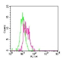 TLR11 Antibody, Novus Biologicals:Antibodies:Primary Antibodies
