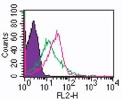 TLR1 Antibody, Novus Biologicals 0.025mg; Unlabeled:Antibodies, Polyclonal
