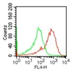TLR2 Antibody (11G5) - Azide Free, Novus Biologicals 0.1mg; Unlabeled:Antibodies,