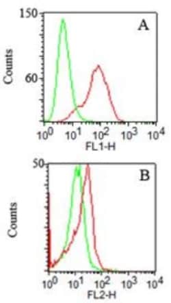 TLR2 Antibody (67N8F8) - Azide Free, Novus Biologicals:Antibodies:Primary