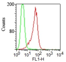 TLR2 Antibody (TL2.1) - Azide Free, Novus Biologicals 0.025mg; Unlabeled:Antibodies,