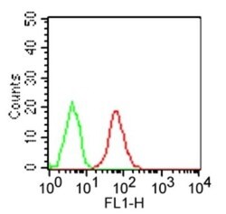 TLR3 Antibody (40C1285.6) - BSA Free, Novus Biologicals:Antibodies:Primary