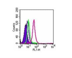 TLR5 Antibody (85B152.5) - BSA Free, Novus Biologicals:Antibodies:Primary