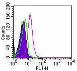 TLR5 Antibody (85B152.5) - BSA Free, Novus Biologicals:Antibodies:Primary