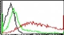 TLR5 Antibody (85B152.5) - BSA Free, Novus Biologicals:Antibodies:Primary