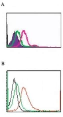 TLR5 Antibody (85B152.5) - BSA Free, Novus Biologicals:Antibodies:Primary