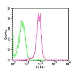 TLR6 Antibody (86B1153.2) - BSA Free, Novus Biologicals:Antibodies:Primary