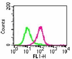TLR6 Antibody (86B1153.2) - BSA Free, Novus Biologicals:Antibodies:Primary