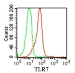 TLR7 Antibody (4G6) - Azide and BSA Free, Novus Biologicals 0.1mg; Unlabeled:Antibodies,