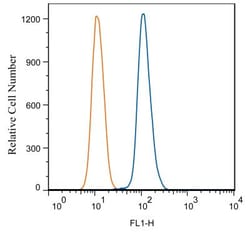 TLR7 Antibody (4G6) - Azide and BSA Free, Novus Biologicals:Antibodies:Primary