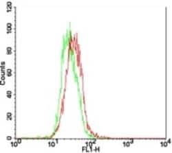 TLR7 Antibody, Novus Biologicals:Antibodies:Primary Antibodies