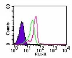 TLR7 Antibody - BSA Free, Novus Biologicals:Antibodies:Primary Antibodies