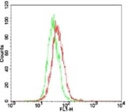 TLR7 Antibody - BSA Free, Novus Biologicals:Antibodies:Primary Antibodies