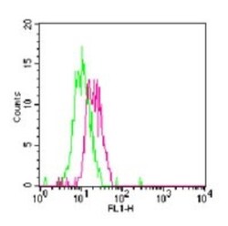 TLR7 Antibody - BSA Free, Novus Biologicals:Antibodies:Primary Antibodies