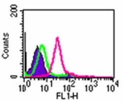 TLR8 Antibody (44C143) - BSA Free, Novus Biologicals:Antibodies:Primary