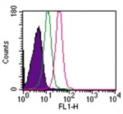 TLR8 Antibody (44C143) - BSA Free, Novus Biologicals:Antibodies:Primary