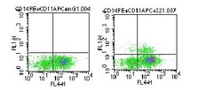 TLR8 Antibody (44C143) - BSA Free, Novus Biologicals:Antibodies:Primary