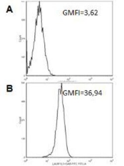 anti- LIGHT/TNFSF14, Clone: Laury-1, Novus Biologicals 0.05mg; Unlabeled:Antibodies,