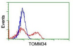 TOMM34 Antibody (OTI2A9), Novus Biologicals 0.1mL; Unlabeled:Antibodies,