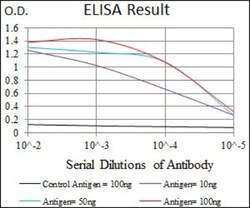 TRAFD1 Antibody (8E6E7) - BSA Free, Novus Biologicals 0.025 mL | Buy Online | Novus Biologicals | Fisher Scientific