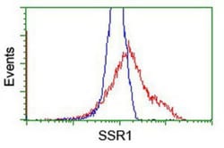 TRAP alpha Antibody (OTI4C7), Novus Biologicals 0.1mL; Unlabeled:Antibodies,
